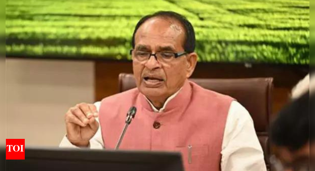 At 354MT, India's foodgrain output hits an all-time high | India News
