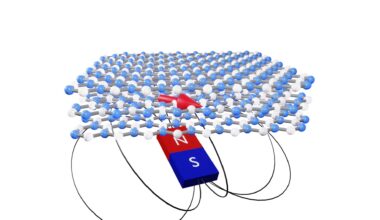2D quantum sensor uses spin defects for precise magnetic field detection