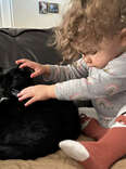 This Blind Toddler And Her Feisty ‘Seeing-Eye Cat’ Are Inseparable