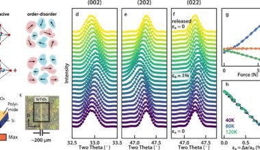 Strained strontium titanate membrane crosses into ferroelectric—and quantum—territory