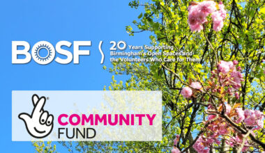 BOSF hosting activities for local families in green spaces in Birmingham.