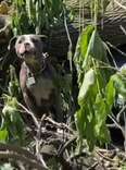 They Heard Cries Coming From Tornado Debris — Then A Head Poked Out