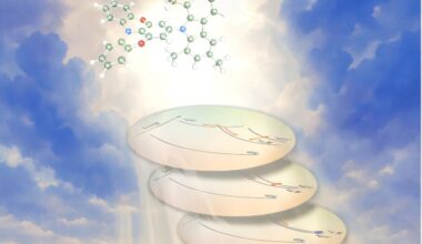 Analytical model clarifies exciton dynamics to improve OLED efficiency and lifespan