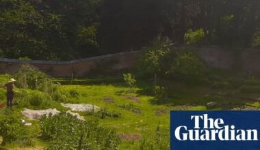 Country diary: A paradise inside four walls | Environment