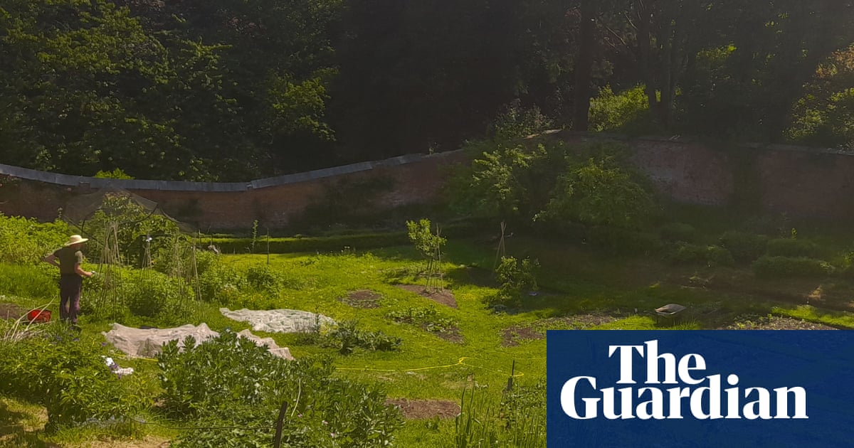 Country diary: A paradise inside four walls | Environment