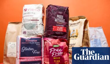 ‘The dry and grainy results wouldn’t persuade me’: the best (and worst) gluten-free plain flour, tested and rated | Baking