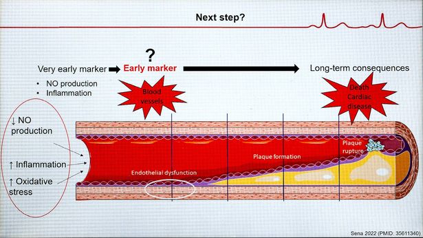 Drawing showing healthy blood vessel to the left turning to damaged at the right of the graphic