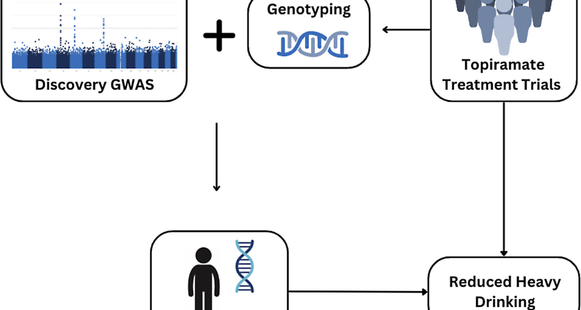 Multiple genetic variants could predict who benefits from alcohol addiction drug