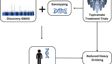 Multiple genetic variants could predict who benefits from alcohol addiction drug