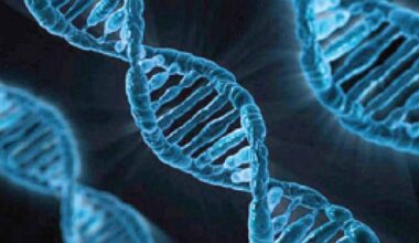 AI To Transform Diagnosis, Cure Of Genetic Diseases