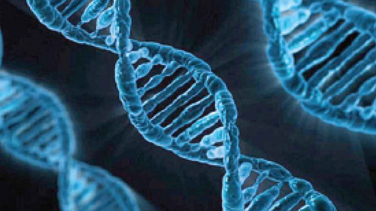 AI To Transform Diagnosis, Cure Of Genetic Diseases