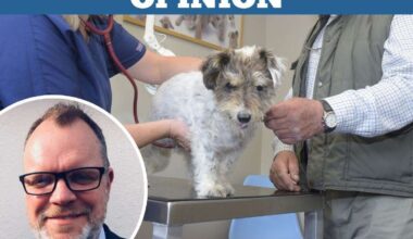 Why are vets so expensive
