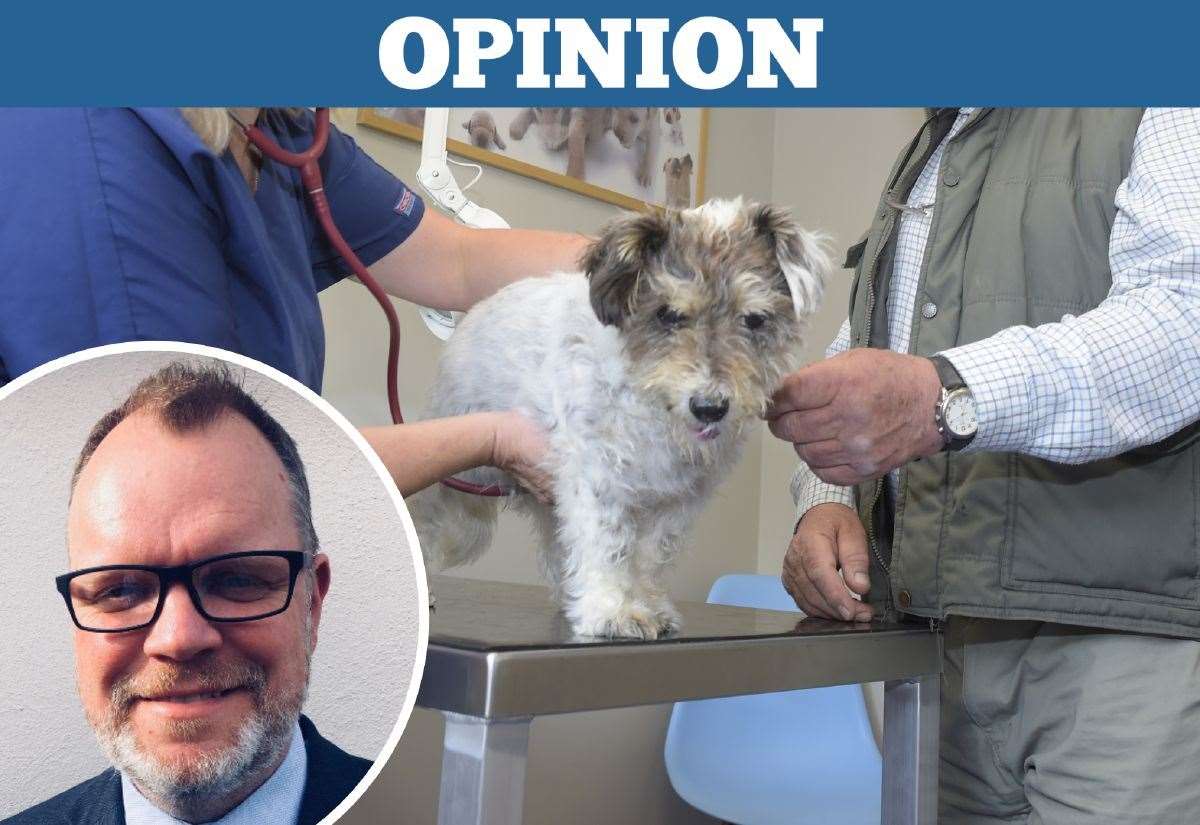Why are vets so expensive