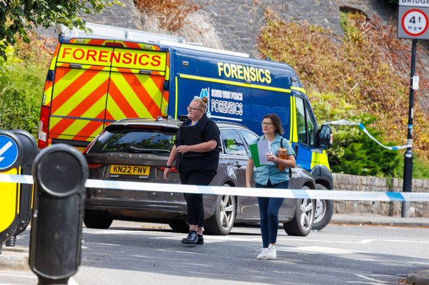 Man accused of murdering two and leaving remains in suitcase appears in court