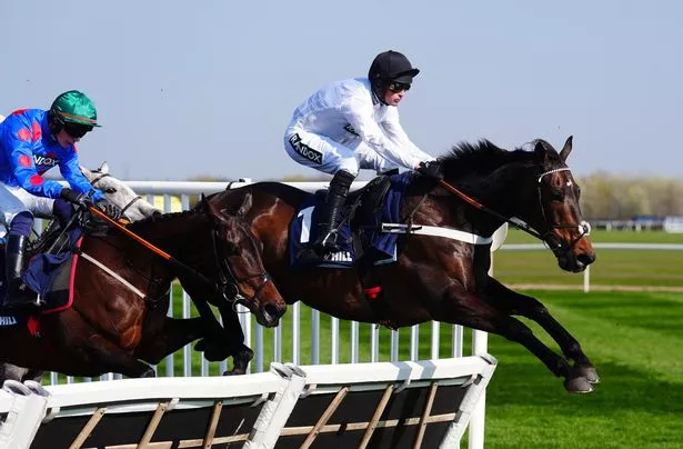 Constitution Hill was bidding for redemption at Punchestown
