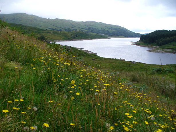 A picture of Glen Finglas Reservoir