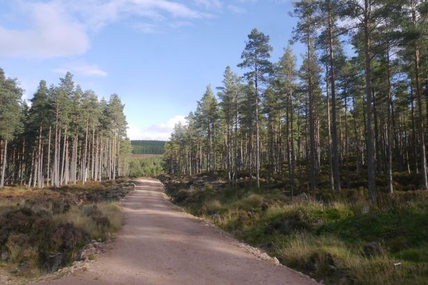 A picture of Glen Tanar