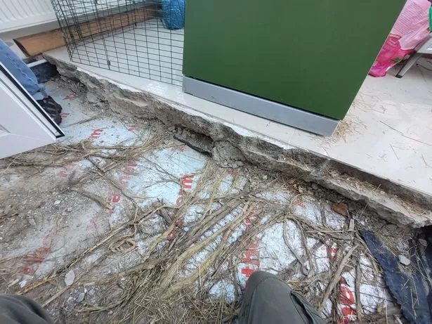 Bamboo mass under a floor 