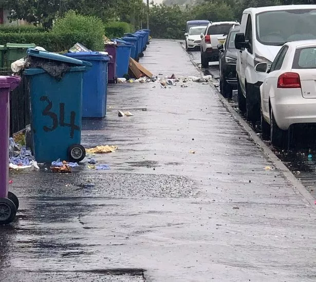 Overflowing bins on Summerhill Road
