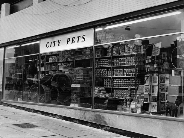 City Pets in St Johns Precinct, Liverpool, April 9, 1970