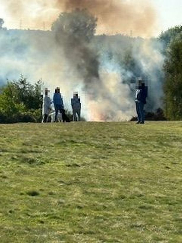 Onlookers watch as a big plume of smoke rises from a fire in Sutton Park in Sutton Coldfield 