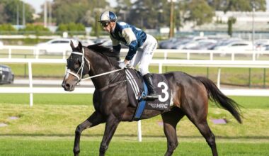 Immediacy was too strong. Picture: Scott Barbour - Racing Photos
