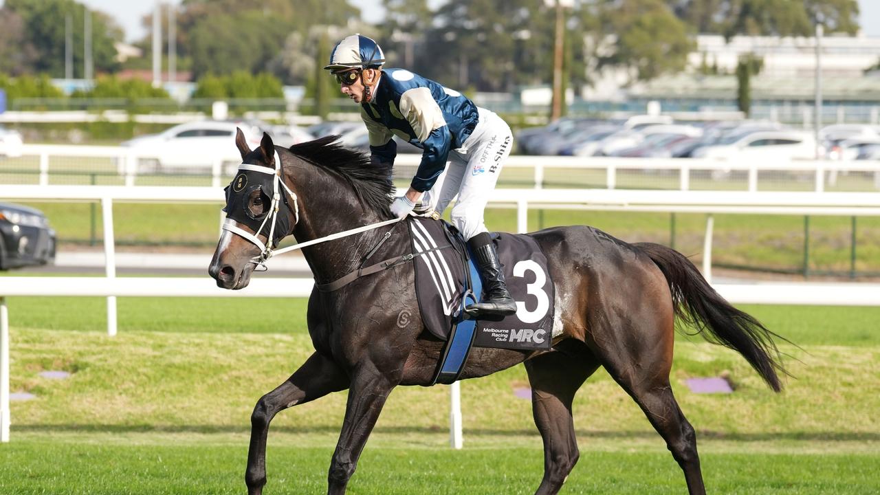 Immediacy was too strong. Picture: Scott Barbour - Racing Photos