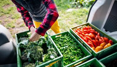 Agri-food deal in UK-EU agreement could reduce sea border impact