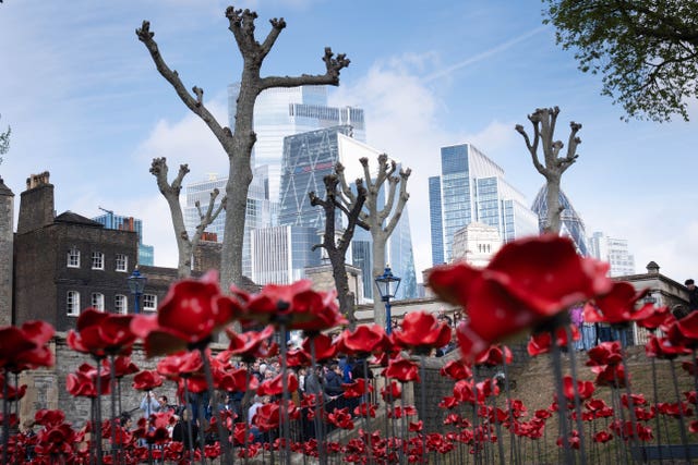 Ceramic poppies at the Tower of London 