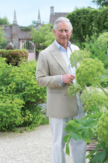 Man standing in a lush garden, holding a large green plant, with a brick gate and foliage in the background.