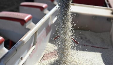 EU backs tariffs on fertiliser imports from Russia, Belarus | Russia-Ukraine war News