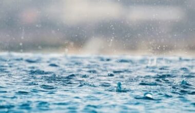 Rainwater