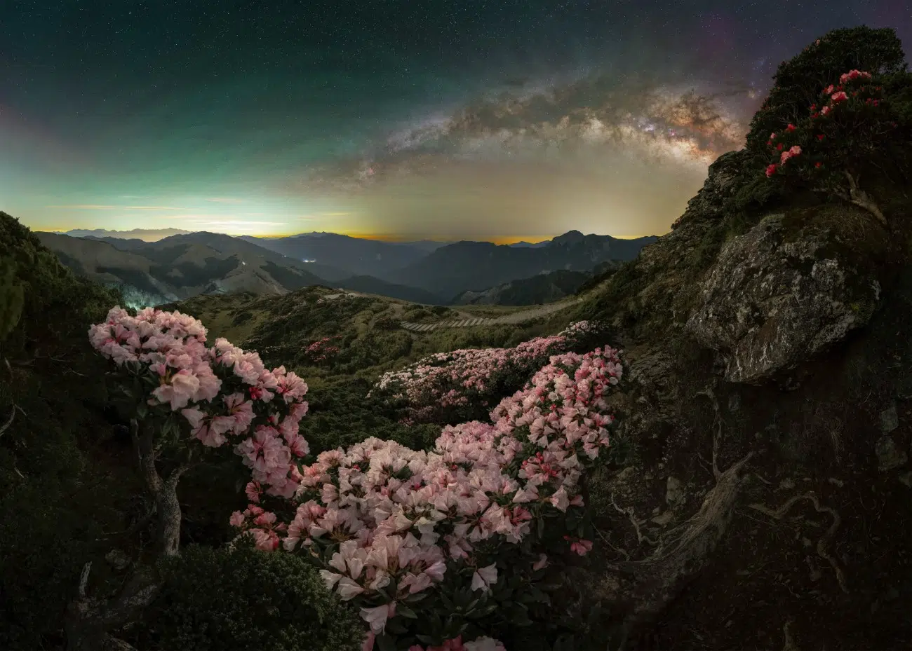Taiwan's Yushan alpine rhododendrons with the Milky Way overhead