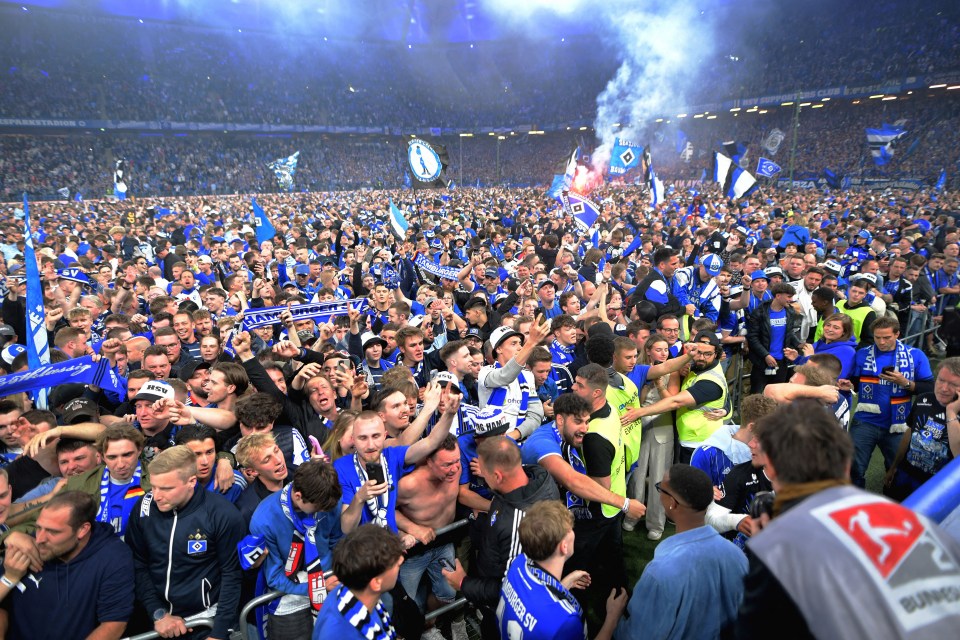 Hamburger SV fans celebrating on the pitch.