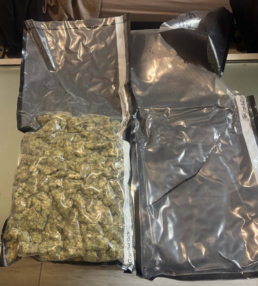 Seized drugs in vacuum-sealed bags.