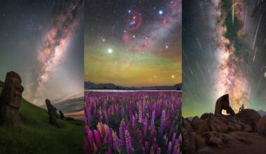 Three vertical photos show dazzling night skies: left, the Milky Way above an Easter Island statue; center, colorful flowers under a star-filled sky; right, a person sits by a rock under a vibrant Milky Way with streaking star trails.