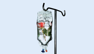 The illustration is showing a feeding clear feeding bag with a rose inside
