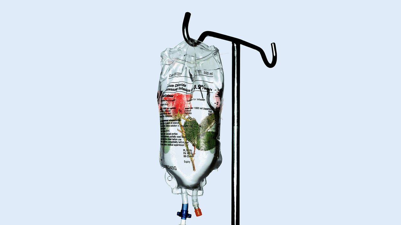 The illustration is showing a feeding clear feeding bag with a rose inside