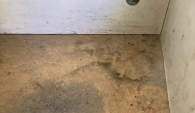 One of the damp surfaces in Damon