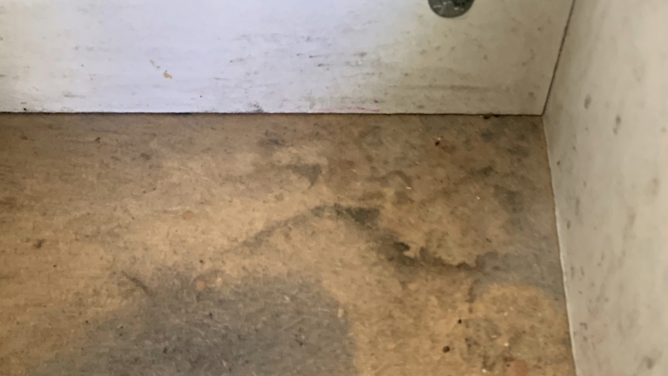 One of the damp surfaces in Damon