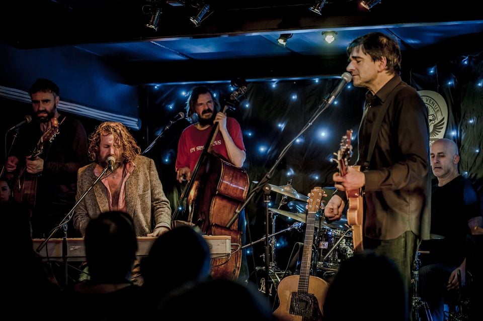 Hothouse Flowers