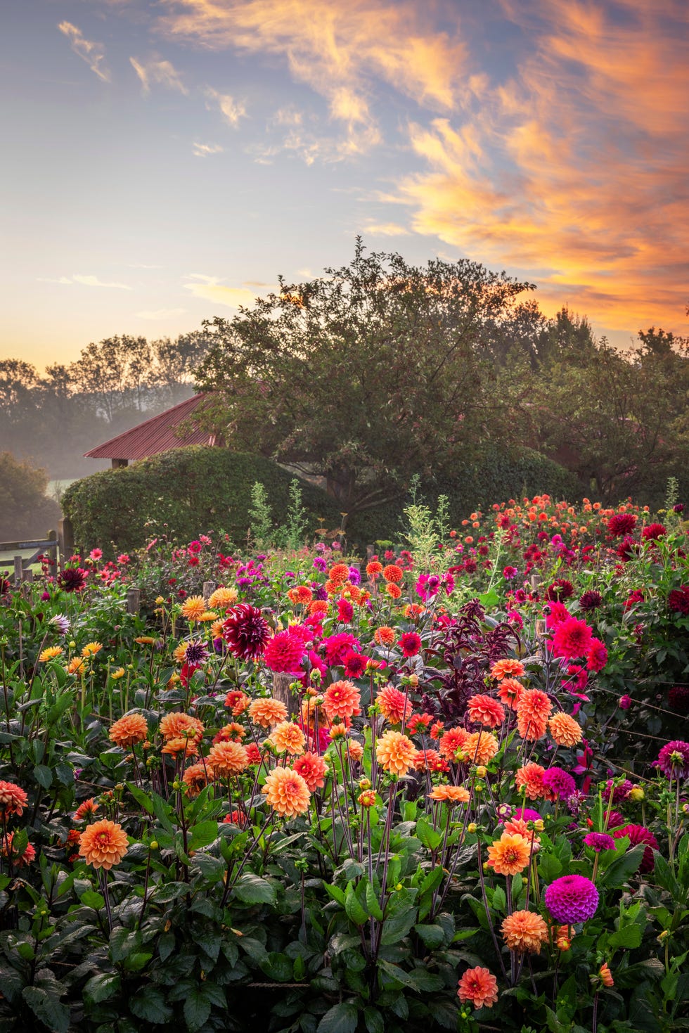 sarah raven garden