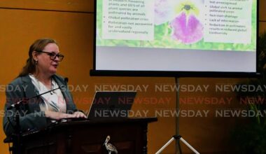 Guide to native herbal plants to go digital