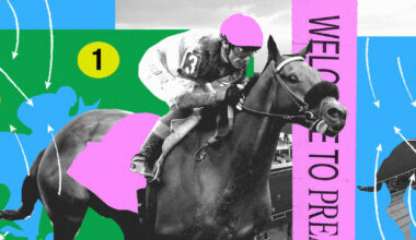 Top horses, odds, and results from Pimlico