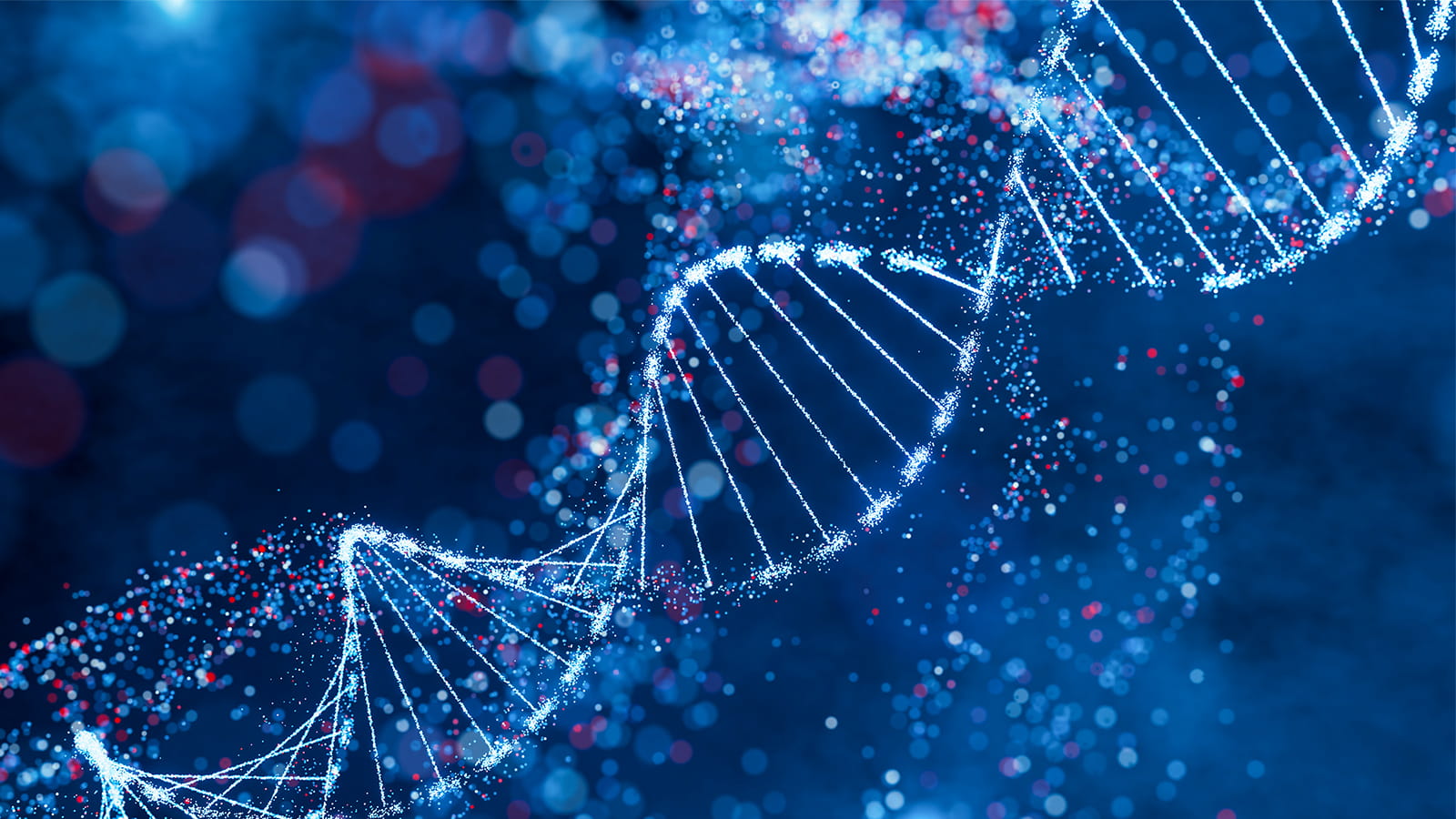 Genomics could hold the key to stroke risk, U of A researchers say