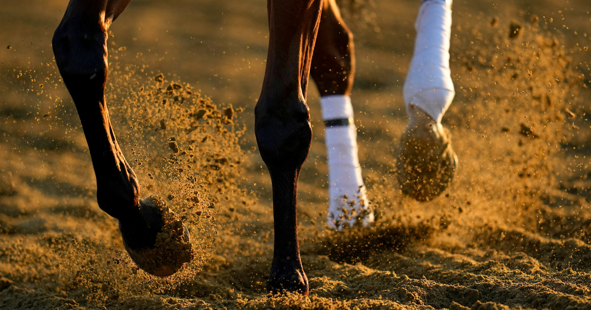 Preakness Stakes 2025 guide: Betting odds, how to watch, date, time, channel, horses to follow - NBC News