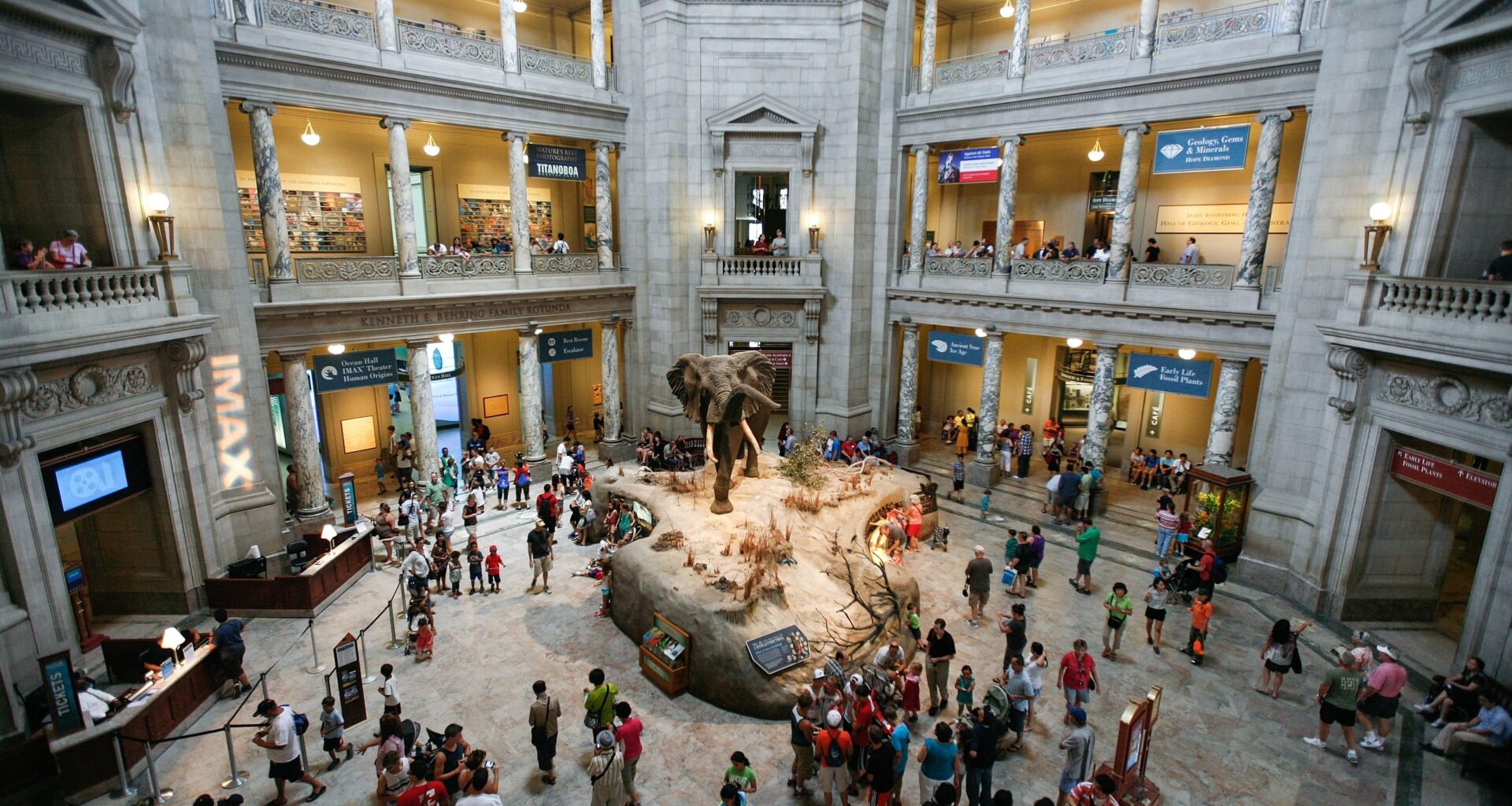 Letter to the Smithsonian | Evolution News and Science Today