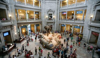 Letter to the Smithsonian | Evolution News and Science Today