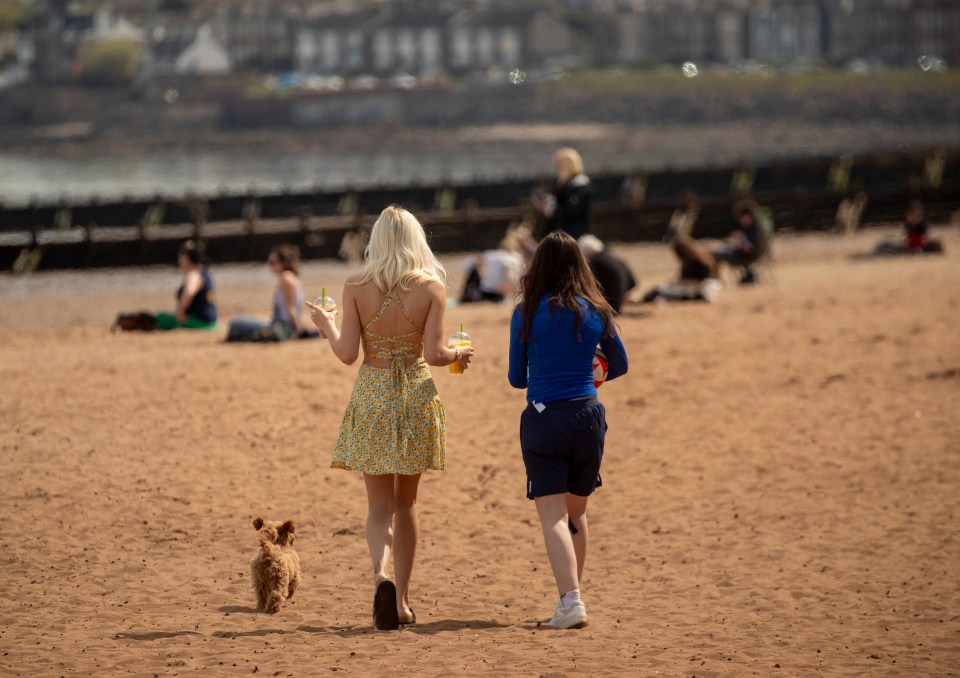 Two women and a small dog walking on a sandy beach.