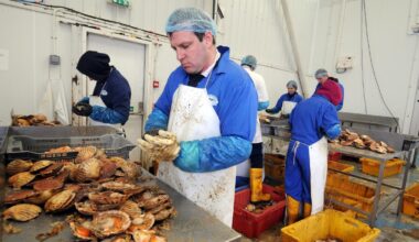 UK food producers have wasted millions on delayed post-Brexit checks